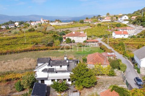 Farm i Viana do Castelo, Viana do Castelo, Viana do Castelo - € 550.000 | Ref: ZMPT582418 - foto 7