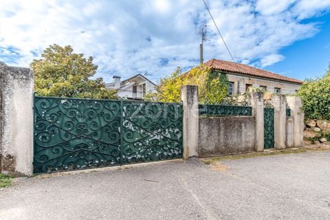 Farm i Viana do Castelo, Viana do Castelo, Viana do Castelo - € 550.000 | Ref: ZMPT582418 - foto 9
