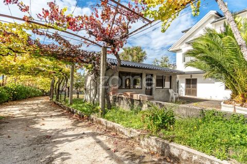 Farm i Viana do Castelo, Viana do Castelo, Viana do Castelo - € 550.000 | Ref: ZMPT582418 - foto 11