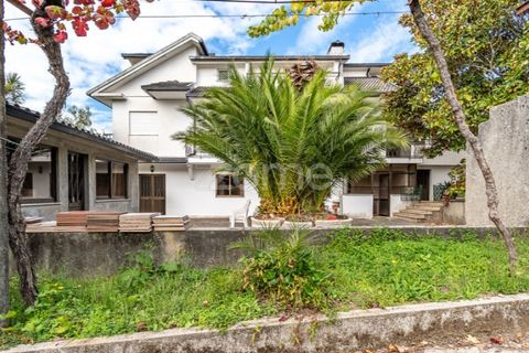 Farm i Viana do Castelo, Viana do Castelo, Viana do Castelo - € 550.000 | Ref: ZMPT582418 - foto 12