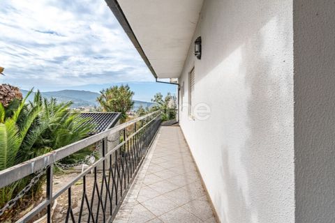 Farm i Viana do Castelo, Viana do Castelo, Viana do Castelo - € 550.000 | Ref: ZMPT582418 - foto 23