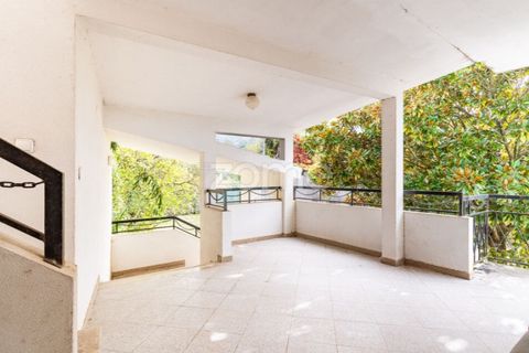Farm i Viana do Castelo, Viana do Castelo, Viana do Castelo - € 550.000 | Ref: ZMPT582418 - foto 25