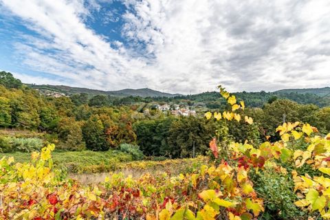 Farm i Viana do Castelo, Viana do Castelo, Viana do Castelo - € 550.000 | Ref: ZMPT582418 - foto 43