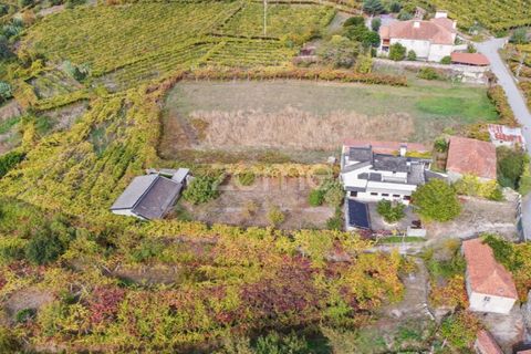 Farm i Viana do Castelo, Viana do Castelo, Viana do Castelo - € 550.000 | Ref: ZMPT582418 - foto 8