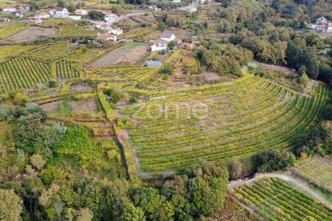 Farm i Viana do Castelo, Viana do Castelo, Viana do Castelo - € 550.000 | Ref: ZMPT582418 - foto 5