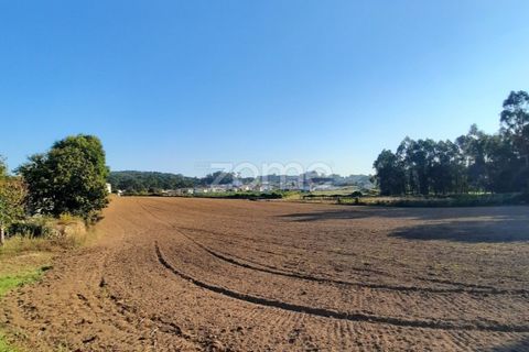 Helårsgrund i Muro, Porto, Muro - € 140.000 | Ref: ZMPT582362 - foto 7