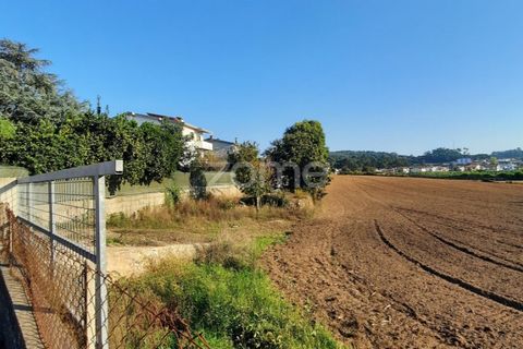 Helårsgrund i Muro, Porto, Muro - € 140.000 | Ref: ZMPT582362 - foto 10