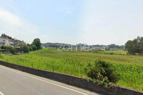 Helårsgrund i Muro, Porto, Muro - € 140.000 | Ref: ZMPT582362 - foto 11