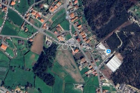 Helårsgrund i Muro, Porto, Muro - € 140.000 | Ref: ZMPT582362 - foto 15