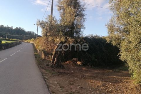 Helårsgrund i Barcelos, Braga, Barcelos - € 110.000 | Ref: ZMPT582257 - foto 2