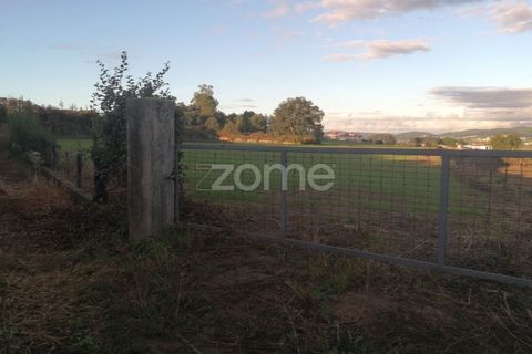Helårsgrund i Barcelos, Braga, Barcelos - € 110.000 | Ref: ZMPT582257 - foto 3