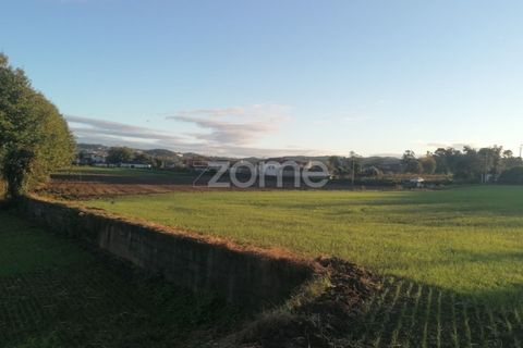 Helårsgrund i Barcelos, Braga, Barcelos - € 110.000 | Ref: ZMPT582257 - foto 5