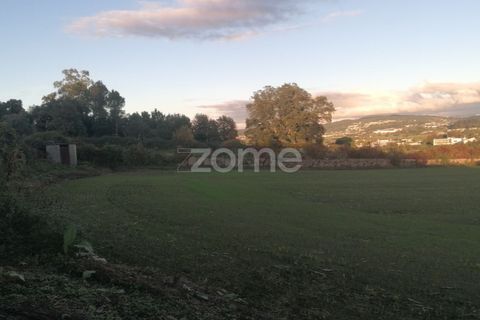 Helårsgrund i Barcelos, Braga, Barcelos - € 110.000 | Ref: ZMPT582257 - foto 7