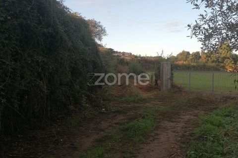 Helårsgrund i Barcelos, Braga, Barcelos - € 110.000 | Ref: ZMPT582257 - foto 8