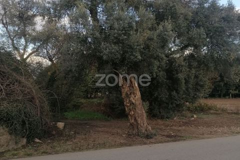 Helårsgrund i Barcelos, Braga, Barcelos - € 110.000 | Ref: ZMPT582257 - foto 9