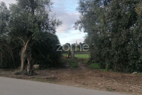 Helårsgrund i Barcelos, Braga, Barcelos - € 110.000 | Ref: ZMPT582257 - foto 10