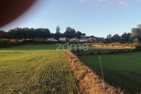 Helårsgrund i Barcelos, Braga, Barcelos - € 110.000 | Ref: ZMPT582257 - foto 1