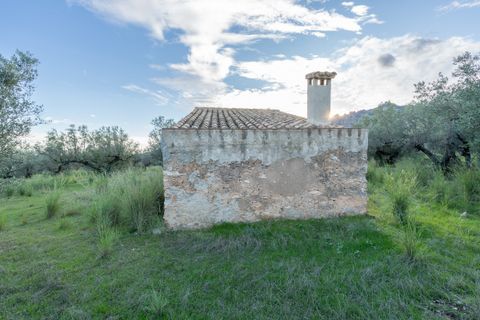 Finca i Roquetes, Tarragona, Roquetes - € 31.000 | Ref: 298 - foto 4