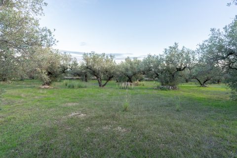 Finca i Roquetes, Tarragona, Roquetes - € 31.000 | Ref: 298 - foto 13