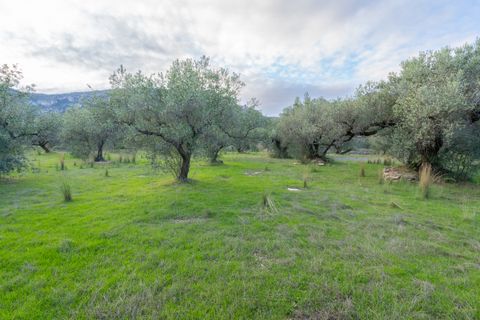 Finca i Roquetes, Tarragona, Roquetes - € 31.000 | Ref: 298 - foto 12