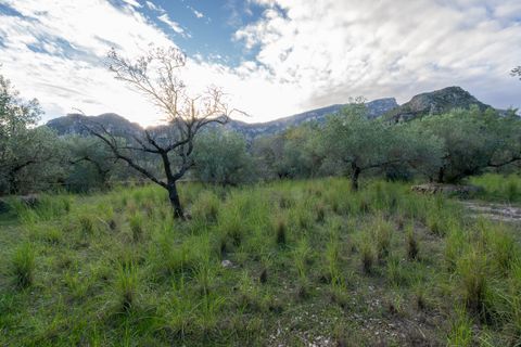 Finca i Roquetes, Tarragona, Roquetes - € 31.000 | Ref: 298 - foto 11