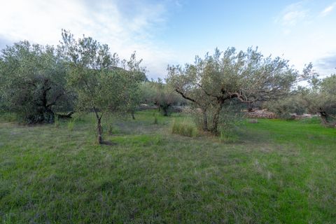 Finca i Roquetes, Tarragona, Roquetes - € 31.000 | Ref: 298 - foto 14