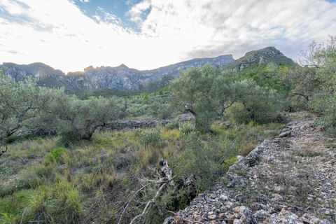 Finca i Roquetes, Tarragona, Roquetes - € 31.000 | Ref: 298 - foto 9