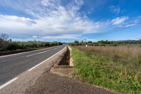 Finca i La Senia, Tarragona, La Senia - € 12.000 | Ref: 297 - foto 5