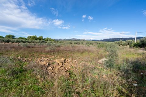 Finca i La Senia, Tarragona, La Senia - € 12.000 | Ref: 297 - foto 2
