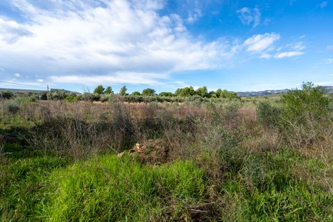 Finca i La Senia, Tarragona, La Senia - € 12.000 | Ref: 297 - foto 4