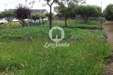 Villa i Lousada, Porto, Lousada - € 350.000 | Ref: 243-M-00375 - foto 9