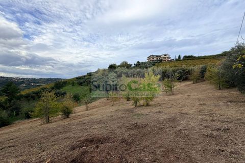 Terra a Bucchianico, Chieti, Bucchianico - € 15.000 | Ref: E 397 - foto 2