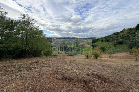 Terra a Bucchianico, Chieti, Bucchianico - € 15.000 | Ref: E 397 - foto 3
