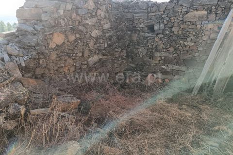 Helårsgrund i Castelo Branco, Castelo Branco, Castelo Branco - € 42.500 | Ref: 102250213 - foto 5