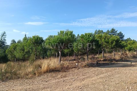 Helårsgrund i Castelo Branco, Castelo Branco, Castelo Branco - € 42.500 | Ref: 102250213 - foto 10