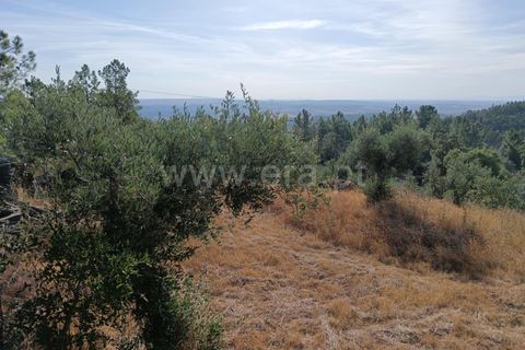 Helårsgrund i Castelo Branco, Castelo Branco, Castelo Branco - € 42.500 | Ref: 102250213 - foto 12