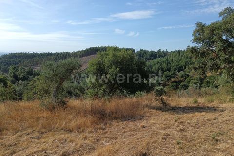 Helårsgrund i Castelo Branco, Castelo Branco, Castelo Branco - € 42.500 | Ref: 102250213 - foto 13