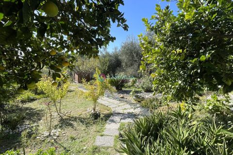 Villa i Silvi, Teramo, Silvi - € 150.000 | Ref: ADM001 - foto 38