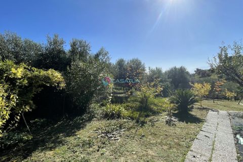 Villa i Silvi, Teramo, Silvi - € 150.000 | Ref: ADM001 - foto 40