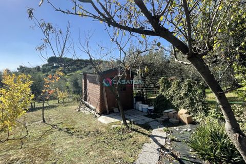 Villa i Silvi, Teramo, Silvi - € 150.000 | Ref: ADM001 - foto 41