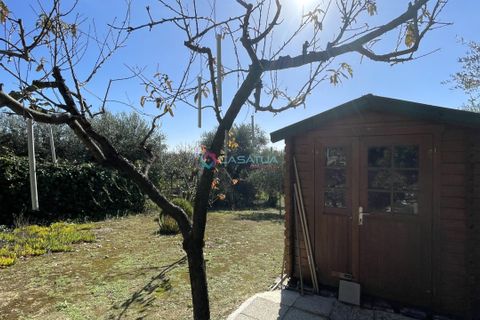 Villa i Silvi, Teramo, Silvi - € 150.000 | Ref: ADM001 - foto 42