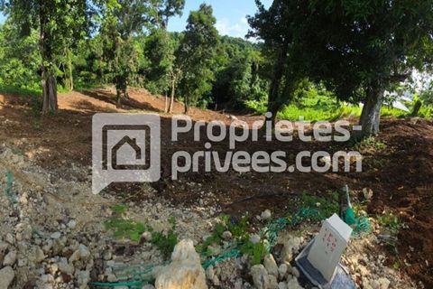 Tomt i Petit-Bourg, Guadeloupe, Petit-Bourg - € 130 500 | Ref: 426949GEGA - foto 2