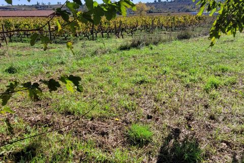 Helårsgrund i Joyeuse, Ardeche, Joyeuse - € 39.900 | Ref: 427536SBRO - foto 2