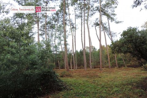 Villa a Hinx, Landes, Hinx - € 145.400 | Ref: 426391CDAR - foto 4