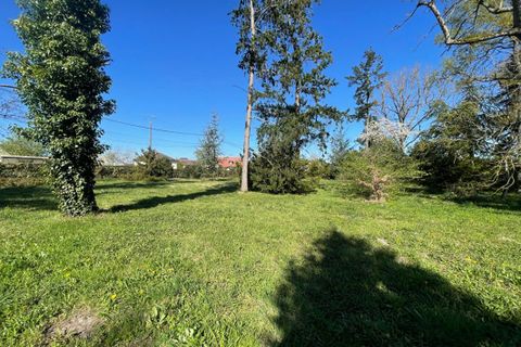 Terra a Solterre, Loiret, Solterre - € 41.000 | Ref: 418701DMON - foto 2