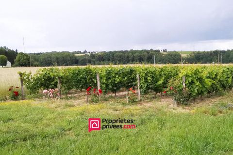 Villa i Saint-Aignan, Loir-et-Cher, Saint-Aignan - € 626.780 | Ref: 426207JGA - foto 15