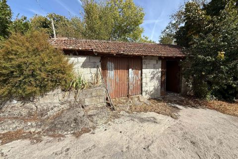 Villa a Vinhais, Braganca, Vinhais - € 52.000 | Ref: C0458-00546 - foto 22