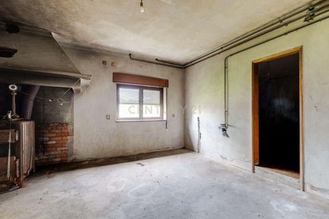 Lejlighed i Pombal, Leiria, Pombal - € 230.000 | Ref: C0381-00831 - foto 16