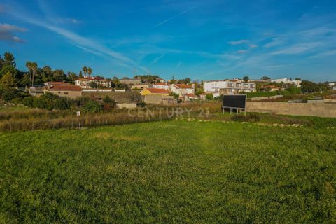 Helårsgrund i Barcelos, Braga, Barcelos - € 650.000 | Ref: C0257-01422 - foto 7