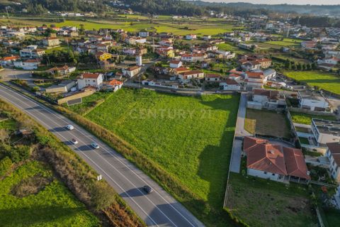 Helårsgrund i Barcelos, Braga, Barcelos - € 650.000 | Ref: C0257-01422 - foto 15